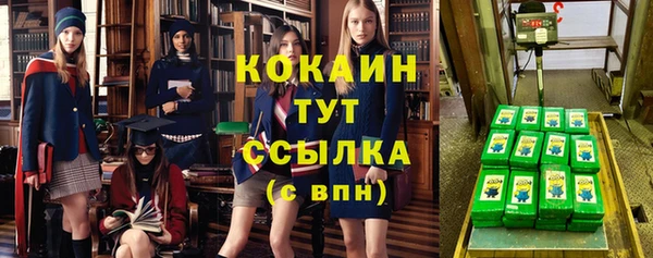 дживик Аркадак