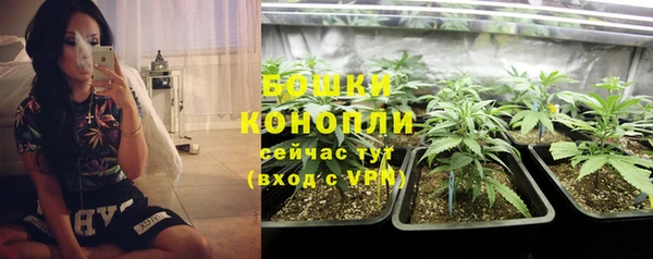 стаф Балабаново