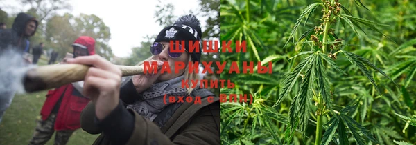 дживик Аркадак